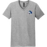 Pittsburgh Huskies Softstyle V-Neck T-Shirt