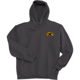 NJ Bears Ultimate Cotton - Pullover Hooded Sweatshirt