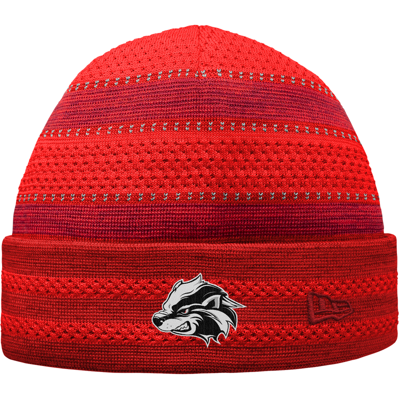 Allegheny Badgers New Era On-Field Knit Beanie